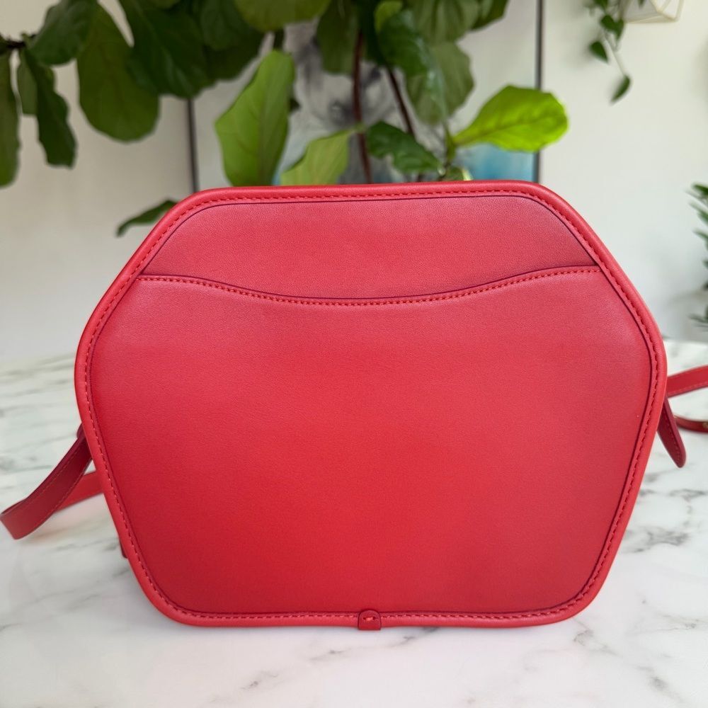 COACH Originals Archival Zip Geometric Pouch Leather Crossbody Bag Carmine Red - Picture 3 of 16